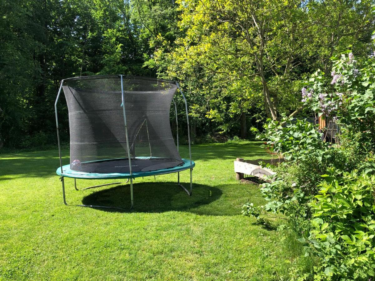 Ferienwohnung Am Waldrand Mit Sauna Biendorf Exteriér fotografie